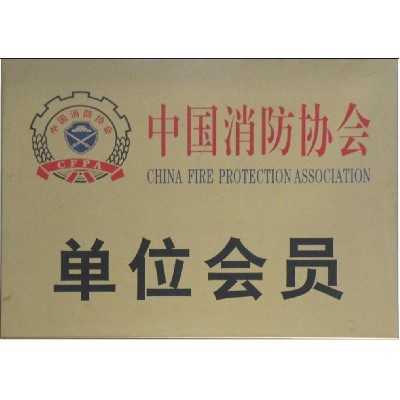 Member of China Fire Protection Association